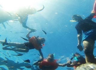 grupo de snorkel